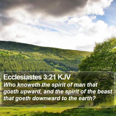 Ecclesiastes 3:21 KJV Bible Verse Image