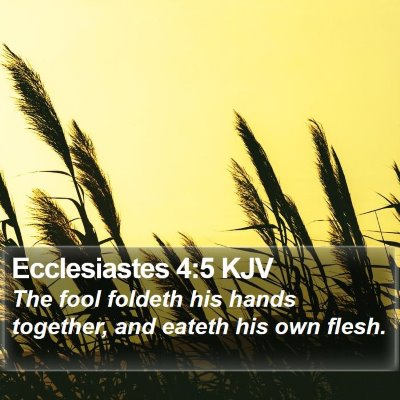 Ecclesiastes 4:5 KJV Bible Verse Image