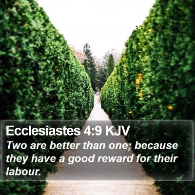 Ecclesiastes 4:9 KJV Bible Verse Image