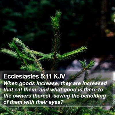 Ecclesiastes 5:11 KJV Bible Verse Image