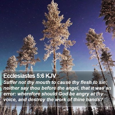Ecclesiastes 5:6 KJV Bible Verse Image
