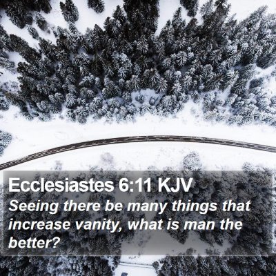 Ecclesiastes 6:11 KJV Bible Verse Image