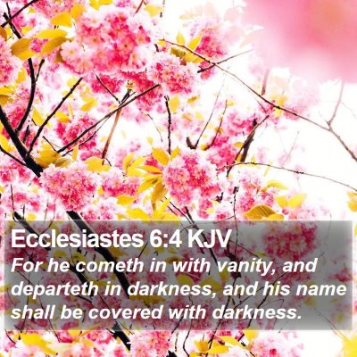 Ecclesiastes 6:4 KJV Bible Verse Image