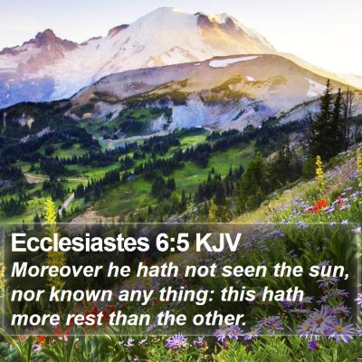 Ecclesiastes 6:5 KJV Bible Verse Image
