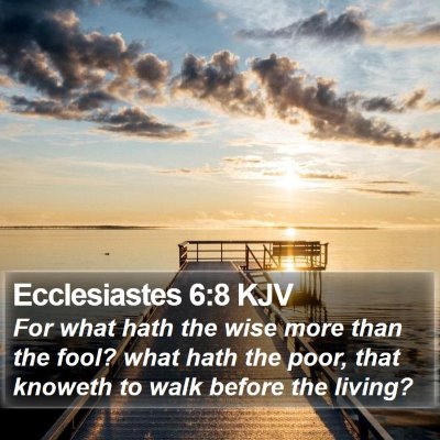 Ecclesiastes 6:8 KJV Bible Verse Image