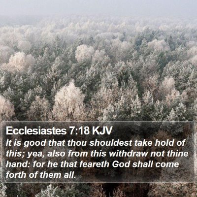 Ecclesiastes 7:18 KJV Bible Verse Image