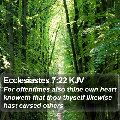 Ecclesiastes 7:22 KJV Bible Verse Image