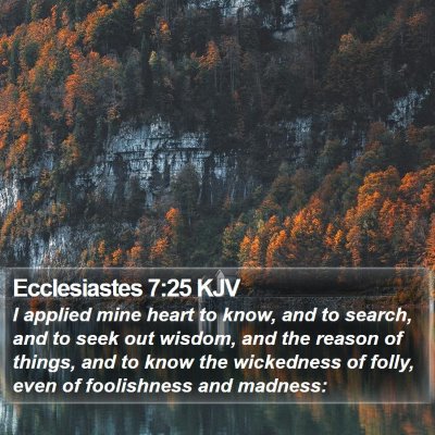 Ecclesiastes 7:25 KJV Bible Verse Image