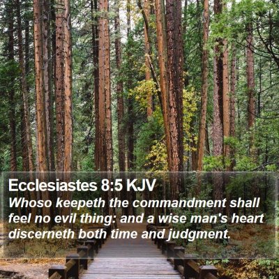 Ecclesiastes 8:5 KJV Bible Verse Image