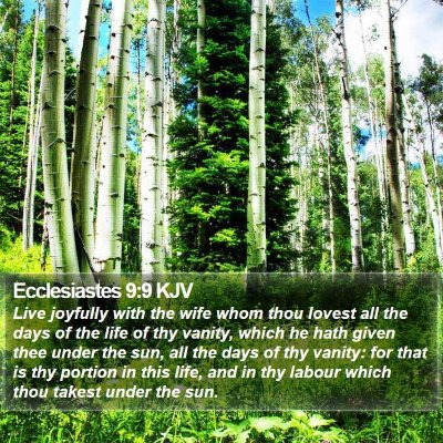 Ecclesiastes 9:9 KJV Bible Verse Image