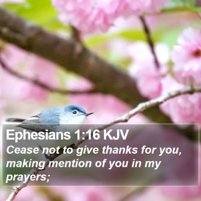Ephesians 1:16 KJV Bible Verse Image