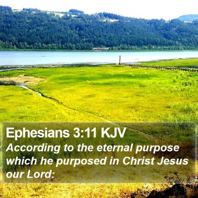 Ephesians 3:11 KJV Bible Verse Image