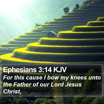 Ephesians 3:14 KJV Bible Verse Image