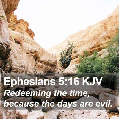 Ephesians 5:16 KJV Bible Verse Image