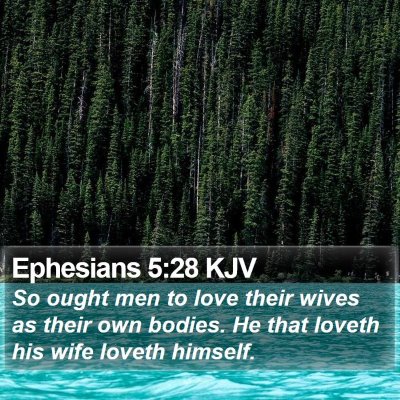 Ephesians 5:28 KJV Bible Verse Image