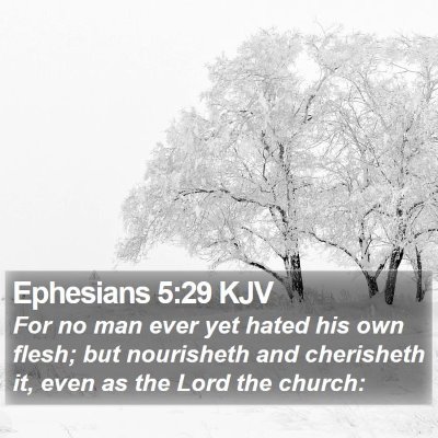 Ephesians 5:29 KJV Bible Verse Image