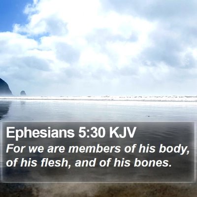Ephesians 5:30 KJV Bible Verse Image