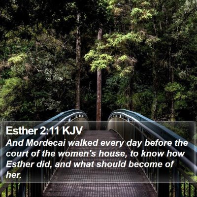 Esther 2:11 KJV Bible Verse Image