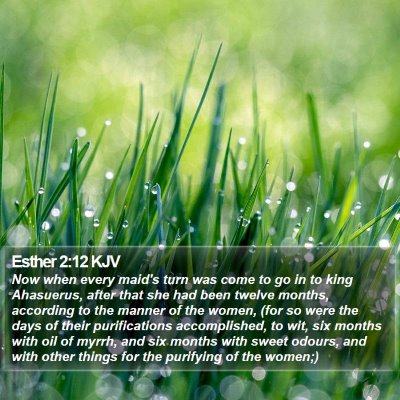 Esther 2:12 KJV Bible Verse Image