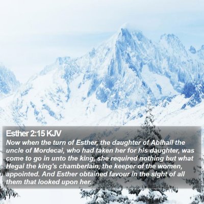 Esther 2:15 KJV Bible Verse Image