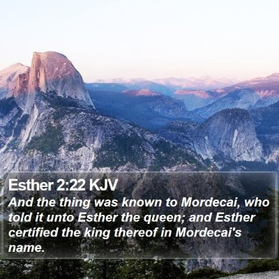 Esther 2:22 KJV Bible Verse Image