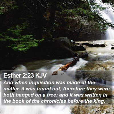 Esther 2:23 KJV Bible Verse Image