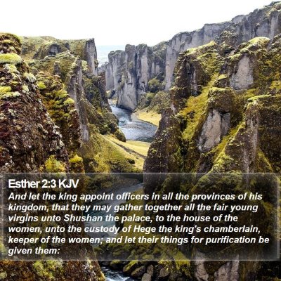 Esther 2:3 KJV Bible Verse Image