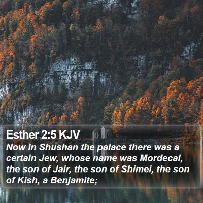 Esther 2:5 KJV Bible Verse Image