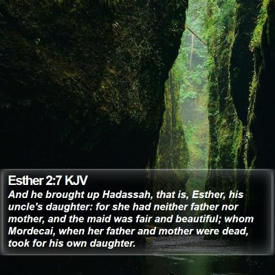 Esther 2:7 KJV Bible Verse Image