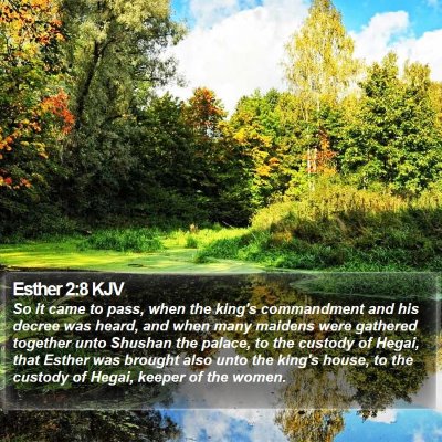 Esther 2:8 KJV Bible Verse Image