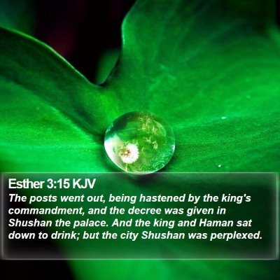 Esther 3:15 KJV Bible Verse Image