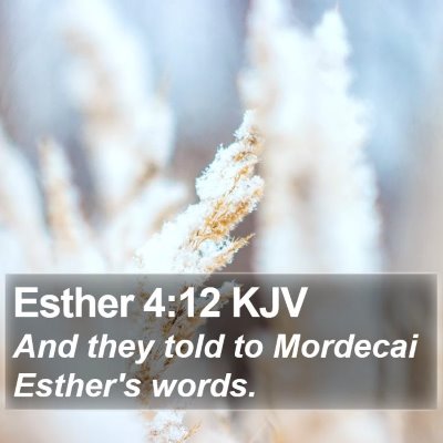 Esther 4:12 KJV Bible Verse Image