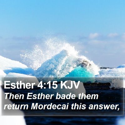 Esther 4:15 KJV Bible Verse Image