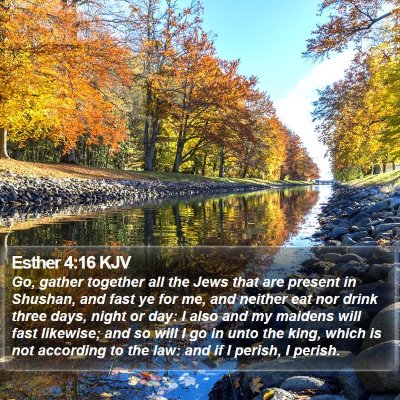 Esther 4:16 KJV Bible Verse Image