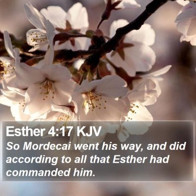 Esther 4:17 KJV Bible Verse Image