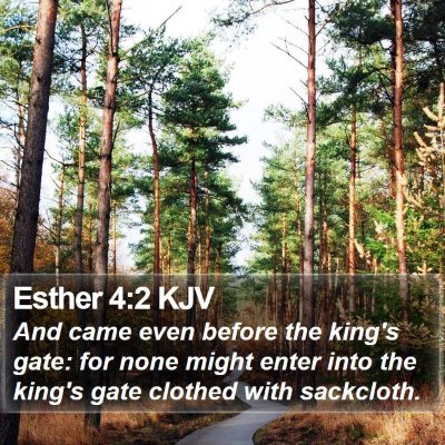 Esther 4:2 KJV Bible Verse Image