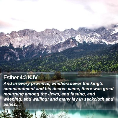 Esther 4:3 KJV Bible Verse Image
