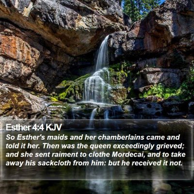 Esther 4:4 KJV Bible Verse Image