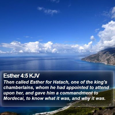 Esther 4:5 KJV Bible Verse Image