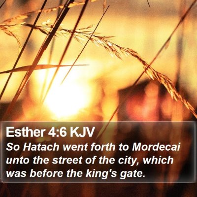 Esther 4:6 KJV Bible Verse Image