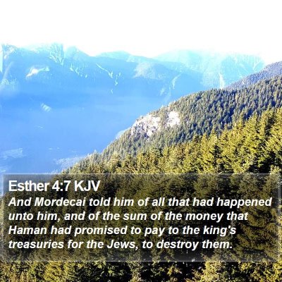 Esther 4:7 KJV Bible Verse Image