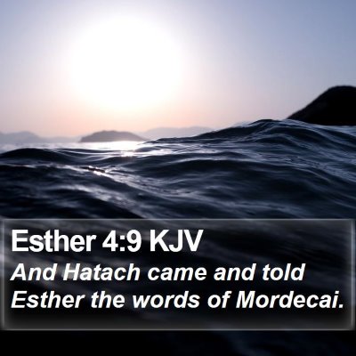 Esther 4:9 KJV Bible Verse Image