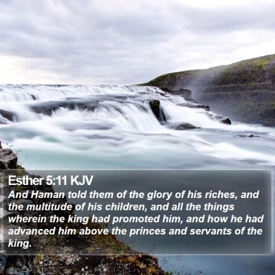 Esther 5:11 KJV Bible Verse Image