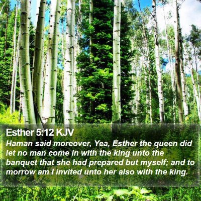 Esther 5:12 KJV Bible Verse Image