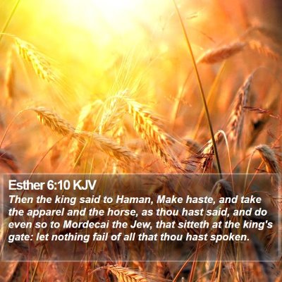 Esther 6:10 KJV Bible Verse Image