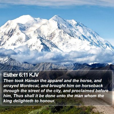 Esther 6:11 KJV Bible Verse Image