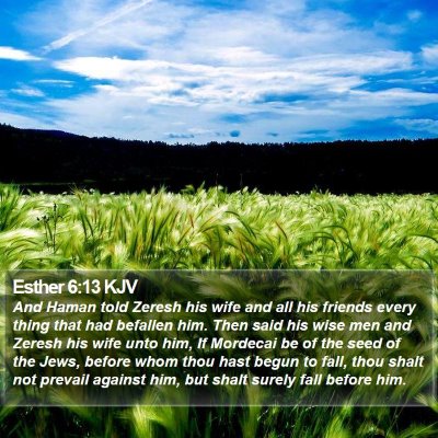 Esther 6:13 KJV Bible Verse Image