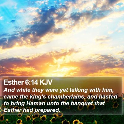 Esther 6:14 KJV Bible Verse Image