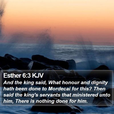 Esther 6:3 KJV Bible Verse Image