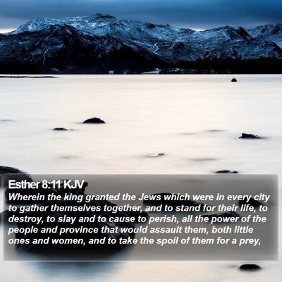 Esther 8:11 KJV Bible Verse Image